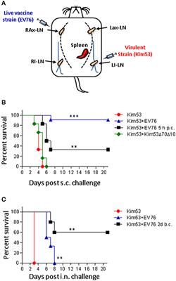 Host Iron Nutritional Immunity Induced by a Live Yersinia pestis Vaccine Strain Is Associated with Immediate Protection against Plague